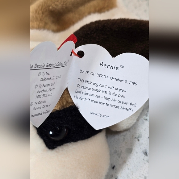 TY Beanie Baby - Bernie - Dog Plush - Brown and White - Picture 5 of 5
